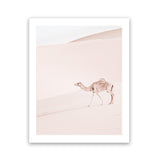 Shop Lone Camel II Photo Art Print-Animals, Baby Nursery, Boho, Moroccan Days, Neutrals, Photography, Pink, Portrait, View All-framed poster wall decor artwork