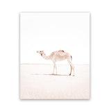 Shop Lone Camel III Photo Art Print-Animals, Baby Nursery, Boho, Moroccan Days, Photography, Pink, Portrait, View All, White-framed poster wall decor artwork