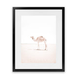 Shop Lone Camel III Photo Art Print-Animals, Baby Nursery, Boho, Moroccan Days, Photography, Pink, Portrait, View All, White-framed poster wall decor artwork
