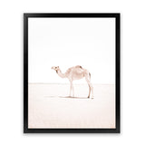 Shop Lone Camel III Photo Art Print-Animals, Baby Nursery, Boho, Moroccan Days, Photography, Pink, Portrait, View All, White-framed poster wall decor artwork