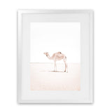 Shop Lone Camel III Photo Art Print-Animals, Baby Nursery, Boho, Moroccan Days, Photography, Pink, Portrait, View All, White-framed poster wall decor artwork