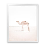 Shop Lone Camel III Photo Art Print-Animals, Baby Nursery, Boho, Moroccan Days, Photography, Pink, Portrait, View All, White-framed poster wall decor artwork