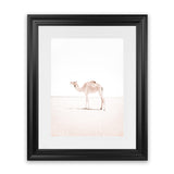 Shop Lone Camel III Photo Art Print-Animals, Baby Nursery, Boho, Moroccan Days, Photography, Pink, Portrait, View All, White-framed poster wall decor artwork