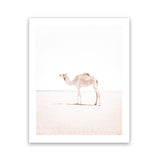 Shop Lone Camel III Photo Art Print-Animals, Baby Nursery, Boho, Moroccan Days, Photography, Pink, Portrait, View All, White-framed poster wall decor artwork