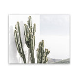Shop Cactus Summer Photo Art Print-Boho, Botanicals, Green, Landscape, Moroccan Days, Photography, Tropical, View All, White-framed poster wall decor artwork