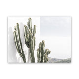Shop Cactus Summer Photo Canvas Art Print-Boho, Botanicals, Green, Landscape, Moroccan Days, Photography, Photography Canvas Prints, Tropical, View All, White-framed wall decor artwork
