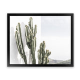 Shop Cactus Summer Photo Art Print-Boho, Botanicals, Green, Landscape, Moroccan Days, Photography, Tropical, View All, White-framed poster wall decor artwork