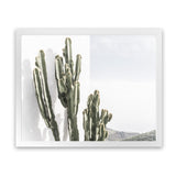 Shop Cactus Summer Photo Art Print-Boho, Botanicals, Green, Landscape, Moroccan Days, Photography, Tropical, View All, White-framed poster wall decor artwork