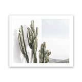 Shop Cactus Summer Photo Art Print-Boho, Botanicals, Green, Landscape, Moroccan Days, Photography, Tropical, View All, White-framed poster wall decor artwork