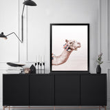 Shop Bedouin Camel II Photo Art Print-Animals, Baby Nursery, Boho, Moroccan Days, Photography, Pink, Portrait, View All-framed poster wall decor artwork