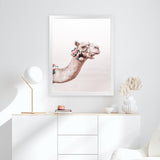 Shop Bedouin Camel II Photo Art Print-Animals, Baby Nursery, Boho, Moroccan Days, Photography, Pink, Portrait, View All-framed poster wall decor artwork