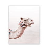 Shop Bedouin Camel II Photo Art Print-Animals, Baby Nursery, Boho, Moroccan Days, Photography, Pink, Portrait, View All-framed poster wall decor artwork