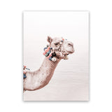 Shop Bedouin Camel II Photo Canvas Art Print-Animals, Baby Nursery, Boho, Moroccan Days, Photography, Photography Canvas Prints, Pink, Portrait, View All-framed wall decor artwork