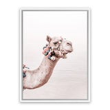 Shop Bedouin Camel II Photo Canvas Art Print-Animals, Baby Nursery, Boho, Moroccan Days, Photography, Photography Canvas Prints, Pink, Portrait, View All-framed wall decor artwork