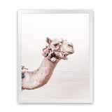 Shop Bedouin Camel II Photo Art Print-Animals, Baby Nursery, Boho, Moroccan Days, Photography, Pink, Portrait, View All-framed poster wall decor artwork