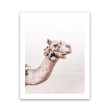 Shop Bedouin Camel II Photo Art Print-Animals, Baby Nursery, Boho, Moroccan Days, Photography, Pink, Portrait, View All-framed poster wall decor artwork
