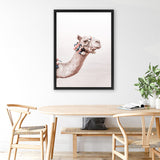 Shop Bedouin Camel II Photo Canvas Art Print-Animals, Baby Nursery, Boho, Moroccan Days, Photography, Photography Canvas Prints, Pink, Portrait, View All-framed wall decor artwork