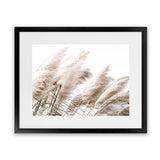Shop Pampas Photo Art Print-Boho, Botanicals, Florals, Hamptons, Landscape, Neutrals, Photography, View All-framed poster wall decor artwork