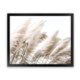 Shop Pampas Photo Art Print-Boho, Botanicals, Florals, Hamptons, Landscape, Neutrals, Photography, View All-framed poster wall decor artwork