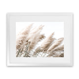 Shop Pampas Photo Art Print-Boho, Botanicals, Florals, Hamptons, Landscape, Neutrals, Photography, View All-framed poster wall decor artwork