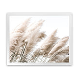Shop Pampas Photo Art Print-Boho, Botanicals, Florals, Hamptons, Landscape, Neutrals, Photography, View All-framed poster wall decor artwork