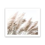 Shop Pampas Photo Art Print-Boho, Botanicals, Florals, Hamptons, Landscape, Neutrals, Photography, View All-framed poster wall decor artwork
