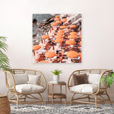 Shop One Fire Club I (Square) Photo Canvas Art Print-Amalfi Coast Italy, Coastal, Orange, Photography, Photography Canvas Prints, Square, View All-framed wall decor artwork