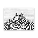 Shop Zebra Hug Photo Canvas Art Print-African, Animals, Black, Landscape, Photography, Photography Canvas Prints, View All, White-framed wall decor artwork