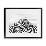 Shop Zebra Hug Photo Art Print-African, Animals, Black, Landscape, Photography, View All, White-framed poster wall decor artwork
