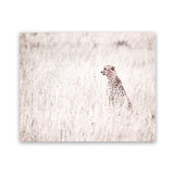 Shop Grazing Cheetah Photo Art Print-African, Animals, Landscape, Neutrals, Photography, Pink, View All-framed poster wall decor artwork