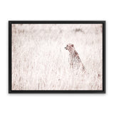 Shop Grazing Cheetah Photo Canvas Art Print-African, Animals, Landscape, Neutrals, Photography, Photography Canvas Prints, Pink, View All-framed wall decor artwork