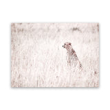 Shop Grazing Cheetah Photo Canvas Art Print-African, Animals, Landscape, Neutrals, Photography, Photography Canvas Prints, Pink, View All-framed wall decor artwork