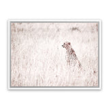 Shop Grazing Cheetah Photo Canvas Art Print-African, Animals, Landscape, Neutrals, Photography, Photography Canvas Prints, Pink, View All-framed wall decor artwork