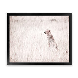 Shop Grazing Cheetah Photo Art Print-African, Animals, Landscape, Neutrals, Photography, Pink, View All-framed poster wall decor artwork