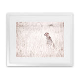 Shop Grazing Cheetah Photo Art Print-African, Animals, Landscape, Neutrals, Photography, Pink, View All-framed poster wall decor artwork