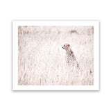 Shop Grazing Cheetah Photo Art Print-African, Animals, Landscape, Neutrals, Photography, Pink, View All-framed poster wall decor artwork
