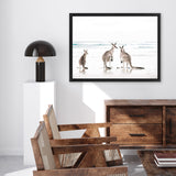 Shop Three Kangaroos Photo Canvas Art Print-Animals, Boho, Coastal, Landscape, Neutrals, Photography, Photography Canvas Prints, View All, White-framed wall decor artwork