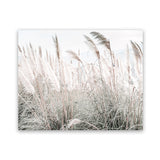 Shop Field of Pampas Grass Photo Art Print-Boho, Coastal, Florals, Green, Hamptons, Landscape, Neutrals, Photography, View All-framed poster wall decor artwork