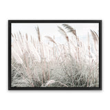 Shop Field of Pampas Grass Photo Canvas Art Print-Boho, Coastal, Florals, Green, Hamptons, Landscape, Neutrals, Photography, Photography Canvas Prints, View All-framed wall decor artwork