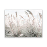 Shop Field of Pampas Grass Photo Canvas Art Print-Boho, Coastal, Florals, Green, Hamptons, Landscape, Neutrals, Photography, Photography Canvas Prints, View All-framed wall decor artwork