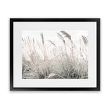 Shop Field of Pampas Grass Photo Art Print-Boho, Coastal, Florals, Green, Hamptons, Landscape, Neutrals, Photography, View All-framed poster wall decor artwork