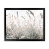 Shop Field of Pampas Grass Photo Art Print-Boho, Coastal, Florals, Green, Hamptons, Landscape, Neutrals, Photography, View All-framed poster wall decor artwork