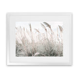 Shop Field of Pampas Grass Photo Art Print-Boho, Coastal, Florals, Green, Hamptons, Landscape, Neutrals, Photography, View All-framed poster wall decor artwork