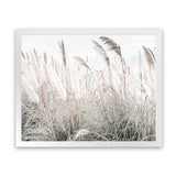 Shop Field of Pampas Grass Photo Art Print-Boho, Coastal, Florals, Green, Hamptons, Landscape, Neutrals, Photography, View All-framed poster wall decor artwork