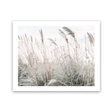 Shop Field of Pampas Grass Photo Art Print-Boho, Coastal, Florals, Green, Hamptons, Landscape, Neutrals, Photography, View All-framed poster wall decor artwork