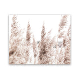 Shop Tall Pampas Grass Photo Art Print-Boho, Botanicals, Florals, Hamptons, Landscape, Neutrals, Photography, View All-framed poster wall decor artwork
