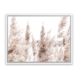 Shop Tall Pampas Grass Photo Canvas Art Print-Boho, Botanicals, Florals, Hamptons, Landscape, Neutrals, Photography, Photography Canvas Prints, View All-framed wall decor artwork