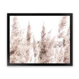 Shop Tall Pampas Grass Photo Art Print-Boho, Botanicals, Florals, Hamptons, Landscape, Neutrals, Photography, View All-framed poster wall decor artwork