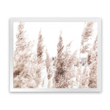 Shop Tall Pampas Grass Photo Art Print-Boho, Botanicals, Florals, Hamptons, Landscape, Neutrals, Photography, View All-framed poster wall decor artwork