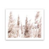 Shop Tall Pampas Grass Photo Art Print-Boho, Botanicals, Florals, Hamptons, Landscape, Neutrals, Photography, View All-framed poster wall decor artwork
